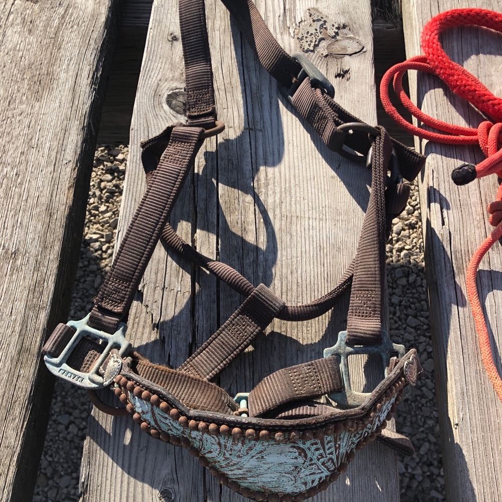 Western halter with bronc band